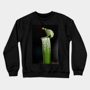 Green Pitcher Plant Study Crewneck Sweatshirt